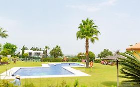 Flamingo Golf B